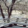 Snow!